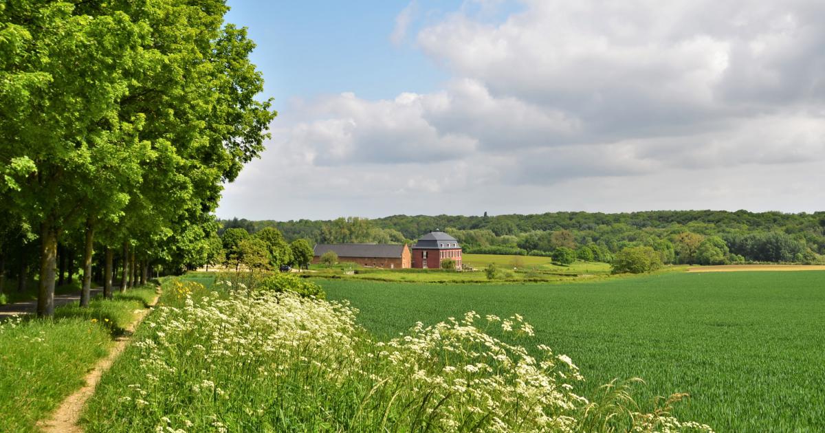 Wandeling door Anstelvallei in Kerkrade met Limburgs Landschap