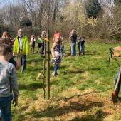 Kinderen planten kersenbomen in Nuth