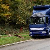 Vrachwagen botst tegen omgewaaide boom N274