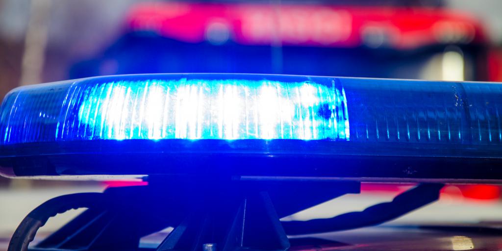 Dieren gered bij brand in appartement