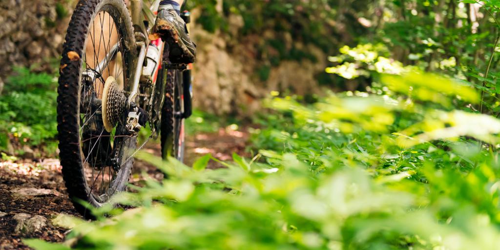 Mountainbikers moeten vertrekken uit bos Sweikhuizen