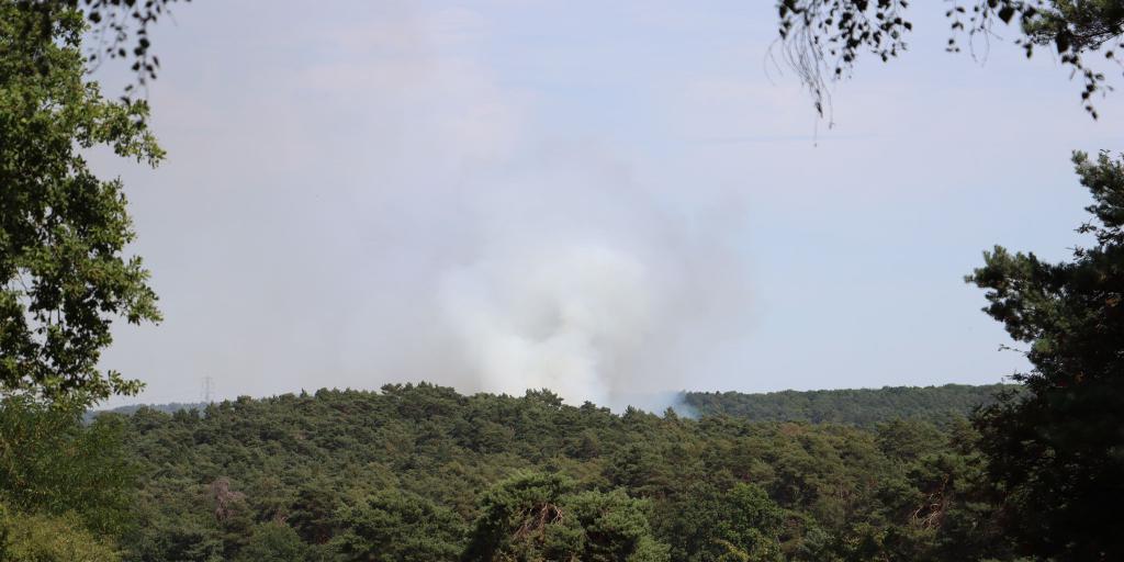 Slim camerasysteem moet natuurbranden op Brunssummerheide eerder signaleren