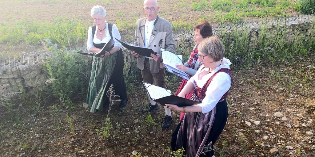 Ideeën gezocht voor Zomerfestival Voerendaal