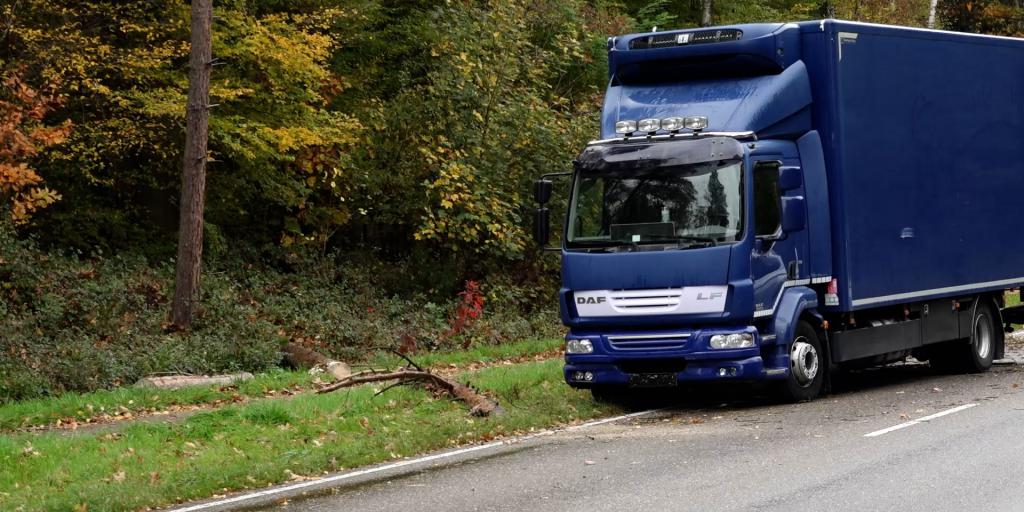 Omgevallen bomen zorgen voor verkeershinder