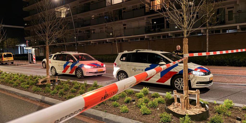 Twee aanhoudingen na schoten uit alarmpistool